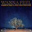 Wanna Feel - Extended Mix