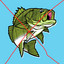 BASS (not the fish) cover