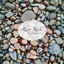 RIVER ROCK CASICO - V3LASTSIZZ30