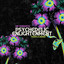 Psychedelic Enlightenment - Temple Remix artwork