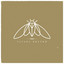 Cicada Rhythm cover art