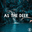As the Deer - Acoustic Instrumental cover