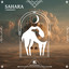 Sahara artwork