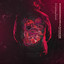Doneer (feat. Zefanio) cover