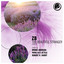 The Beautiful Stranger - 2024 Edit