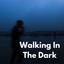 Walking In The Dark cover