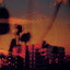 Bismut - Contamination