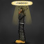 Dichotomy cover