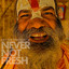 Never Not Fresh cover