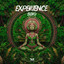 Experience