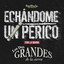 Echandome Un Perico Con La Banda cover