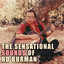 The Sensational Sounds of RD Burman cover