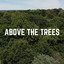 Above the Trees cover