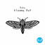 Gloomy Out - Miro Pajic Remix