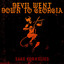 The Devil Went Down To Georgia cover