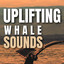 Uplifting Whale Sounds cover