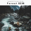 1 Forest REM cover