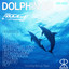 Dolphin - R-Control Mix '91