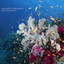 Sea Whispers