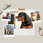 Bgm for Puppy Luv cover
