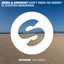 Don't Need No Money (feat. Steffen Morrison) - Extended Mix