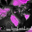 The Anti Drug cover
