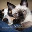 Paws by the Fire: A Laid-Back Ambience of Fire for Pet Relaxation cover