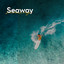 Seaway cover