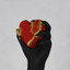 midas touch cover