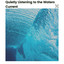 Quietly Listening to the Waters Current cover