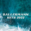 Ballermann Hits 2022 cover