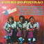 Sanfoneiro de Pagode