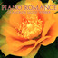 Piano Romance of Andrew Lloyd Webber cover