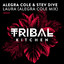 Laura - Alegra Cole Extended Mix
