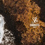 Diminuto, Pt. 1 cover
