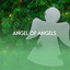Angel of Angels cover