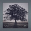 Heirloom - Telin