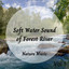 Nature Music: Soft Water Sound of Forest River Vol. 1 cover