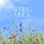 Spring Vibes cover