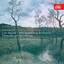 Violin Concerto No. 1 in C Minor, Op. 88: II. Andante sostenuto cover