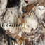 Cappaert - The Naked Gallery