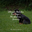 Ultimate Melodies For Dogs | Mindfulness, Serenity cover