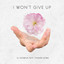 I Won't Give Up cover