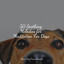 50 Soothing Melodies for Meditation For Dogs cover