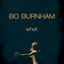 Bo Burnham profile