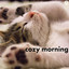 Cozy Morning cover