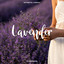 Lavender cover