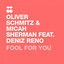 Fool for You(Feat. Deniz Reno)