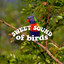 Sweet Sound of Birds cover