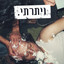 מחפשת ודאות כדי להשמין cover